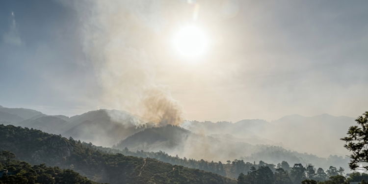 ¡Desastre ambiental! Enorme incendio arrasa hectáreas de bosque en El Chimbo