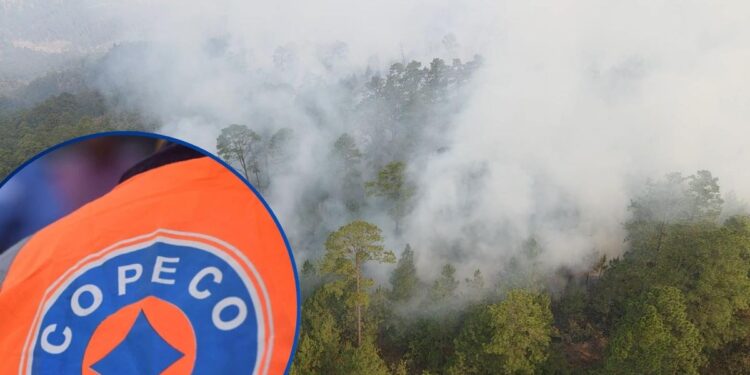 ¡Sospecha de crimen ambiental! Investigan incendios en La Tigra con posible mano humana y avance de invasiones ilegales