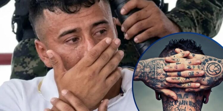 ¡Tiene clavo! Empleado del RNP sigue preso porque inscribió a un pandillero vivo “como difunto”