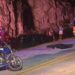 ¡Sangre en la carretera! Fatal colisión deja dos muertos y un herido en la vía a San Juan, Intibucá