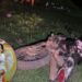 Accidente Yojoa bebé