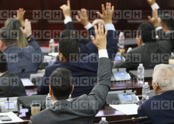 CN aprueba en su tercer debate reformar el código penal para endurecer penas entre 25 y 60 años por femicidio