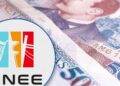 La ENEE pierde L41 millones al día, afirman sectores que impulsan una reforma eléctrica