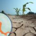 Advierten sequías, crisis agrícola y riesgo de escasez de agua por “El Niño” en Centroamérica