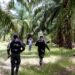 Confirman grave daño en una zona protegida de Esparta, Atlántida