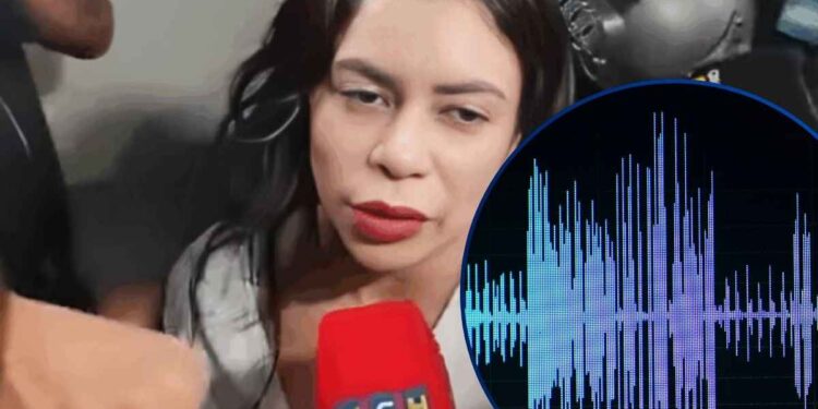 “Necesito que me ayuden, esto es persecución política”: Filtran supuesto audio de la “Barbie Fiscal” donde menciona a “gente importante”
