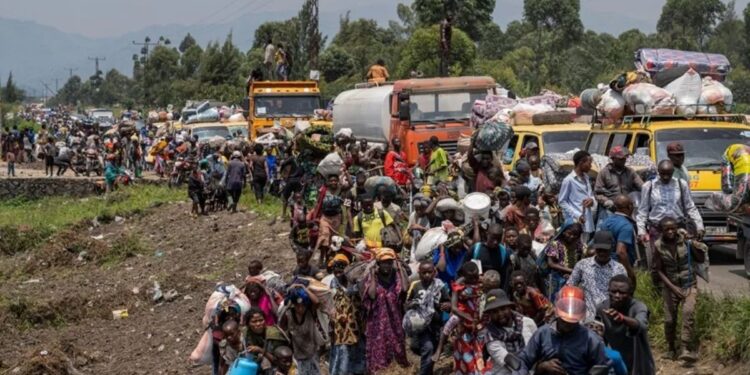 ONU República Democrática Del Congo