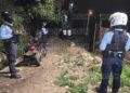 ¡Crímenes no paran! Raptan y matan a menor de 14 años en colonia Villa Nueva | Móvil Emergencia TGU