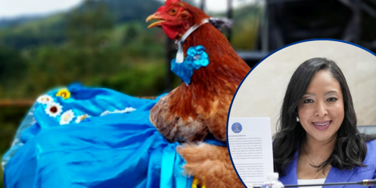 ¡Cacareo! Diputada propone al Congreso Nacional declarar el festival cultural de la gallina en Tatumbla, FM