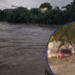 ¡Caos bajo el agua! Calles inundadas y vehículos arrastrados por las fuertes lluvias en San Pedro Sula