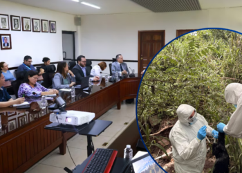 Honduras activa vigilancia sanitaria tras detectar gripe aviar H5N1 en aves silvestres de Lempira