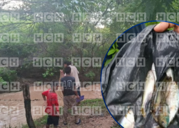 ¡Yoro vuelve a ser escenario del misterio! Reportan nueva lluvia de peces en la zona