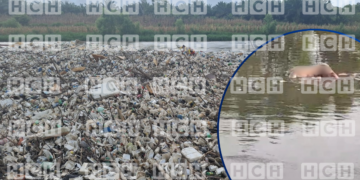 ¡Hallazgo aterrador! Desmembrado recuperan el cuerpo de un hombre el río Chamelecón en Puerto Cortés