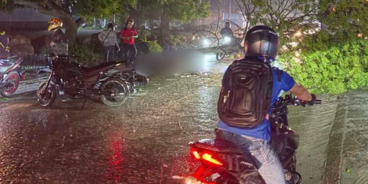 Motociclista perece tras caerle árbol en medio de tormenta | Móvil Emergencia SPS