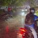 Motociclista perece tras caerle árbol en medio de tormenta | Móvil Emergencia SPS