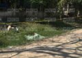 ¡Tras riña! Degollado dejan a “Pablo el Viejón” en Villanueva, Cortés