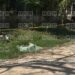 ¡Tras riña! Degollado dejan a “Pablo el Viejón” en Villanueva, Cortés