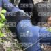¡Emboscada! Asesinan de un disparo a maestra en El Rosario, Comayagua