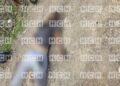 ¡Crimen brutal! Motociclista fallece tras ser abatido a disparos en la aldea La Lima en Juticalpa, Olancho