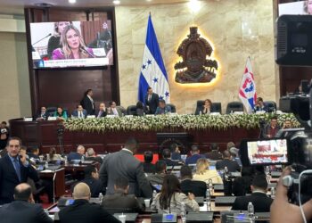 CN aprueba en su tercer debate reformar el código penal para endurecer penas entre 25 y 60 años por femicidio