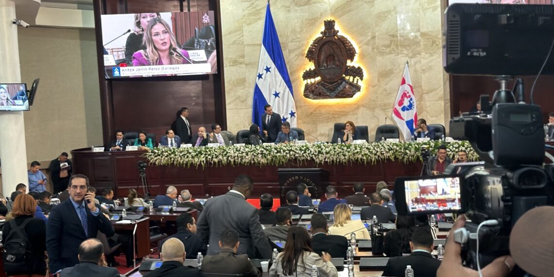 CN aprueba en su totalidad reformas a la ley para fortalecer la lucha contra la violencia doméstica