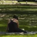 Francia restringe consumo de alcohol en público en medio de segunda ola de calor en dos meses