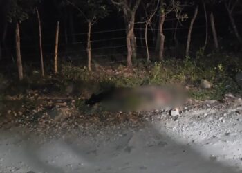 ¡A pedradas! Riña de borrachos en Lempira terminó en tragedia