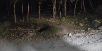 ¡A pedradas! Riña de borrachos en Lempira terminó en tragedia