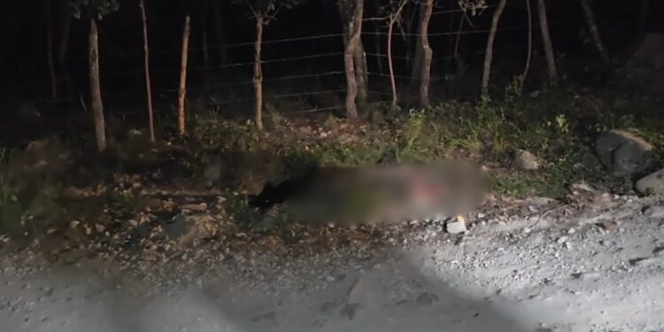 ¡A pedradas! Riña de borrachos en Lempira terminó en tragedia