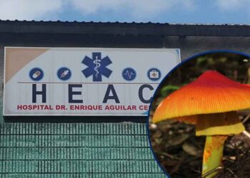 ¡Alarma en Intibucá! Al menos 10 personas intoxicadas tras consumir el famoso “Choro”