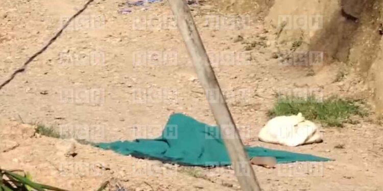 ¡De la fiesta a la muerte! Tras celebrar su cumpleaños, hallan asesinado a comerciante de verduras en el Merendón