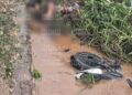 ¡No pudo cerrar la curva! Motociclista perece tras caer al río Choluteca cerca del campo Motagua