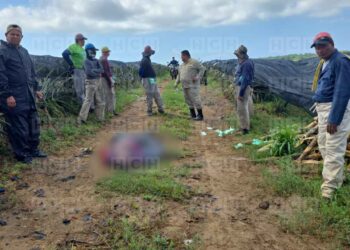 ¡Desgracia! Rayo mata a empleado de finca y deja a otros tres heridos en El Porvenir, Atlántida