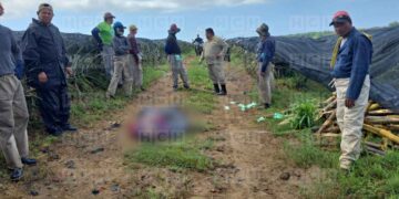 ¡Desgracia! Rayo mata a empleado de finca y deja a otros tres heridos en El Porvenir, Atlántida
