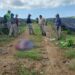 ¡Desgracia! Rayo mata a empleado de finca y deja a otros tres heridos en El Porvenir, Atlántida