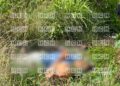 ¡Imparable violencia! Atado y estrangulado, dejan a hombre en “montarral” al oriente de la capital