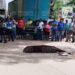 ¡Lamentable! Conductora de moto perece tras impactar con rastra en Juticalpa