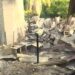 ¡Lamentable! Voraz incendio dejó en la calle a siete familias en bordos de San Pedro Sula