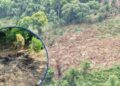 ¡Masacre ambiental! Descubren área deforestada para siembra de “lichas” en Parque Nacional Pico Bonito, La Ceiba