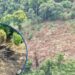 ¡Masacre ambiental! Descubren área deforestada para siembra de “lichas” en Parque Nacional Pico Bonito, La Ceiba