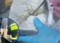 ¡Narcolácteos! Hallan cocaína en cajas de queso que iban como encomienda hacia EEUU