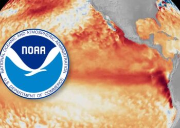 ¡Oficialmente! Se forma “El Niño” y los pronosticadores de NOAA esperan que se intensifique