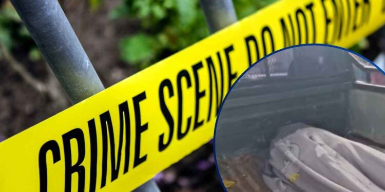 ¡Sigue la violencia! Cuando iba a trabajar, matan hombre en San Nicolás, Santa Bárbara