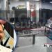¡Sin sospechar su destino! Don Félix fue captado concentrado en su trabajo, minutos antes de la tragedia (VIDEO EXCLUSIVO)