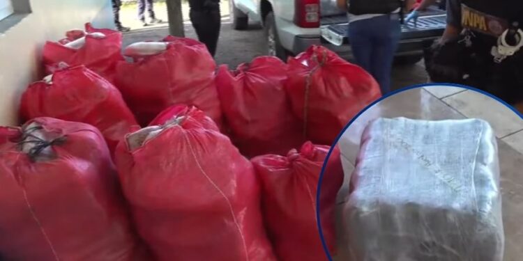 ¡Tras persecución! Hallan cargamento de droga dentro de vehículo en Pimienta, Cortés