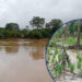 Alistan ayuda humanitaria para familias afectadas por las lluvias en Gracias a Dios