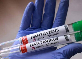 Chile decreta alerta sanitaria nacional por hantavirus