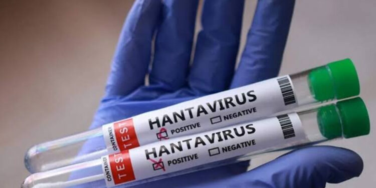 Chile decreta alerta sanitaria nacional por hantavirus