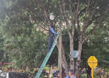 ¡Insólito! Desmantelan cámaras instaladas por vecinos para vigilar robos y asaltos en la colonia Óscar Calidonio
