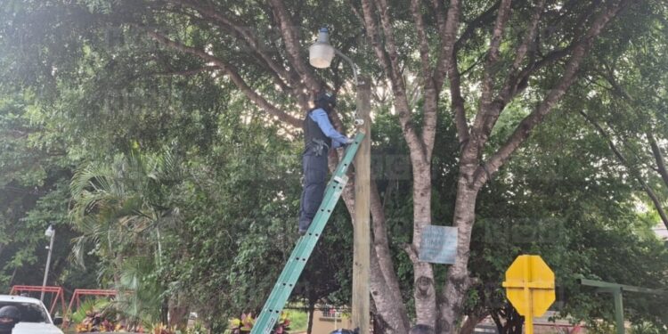 ¡Insólito! Desmantelan cámaras instaladas por vecinos para vigilar robos y asaltos en la colonia Óscar Calidonio